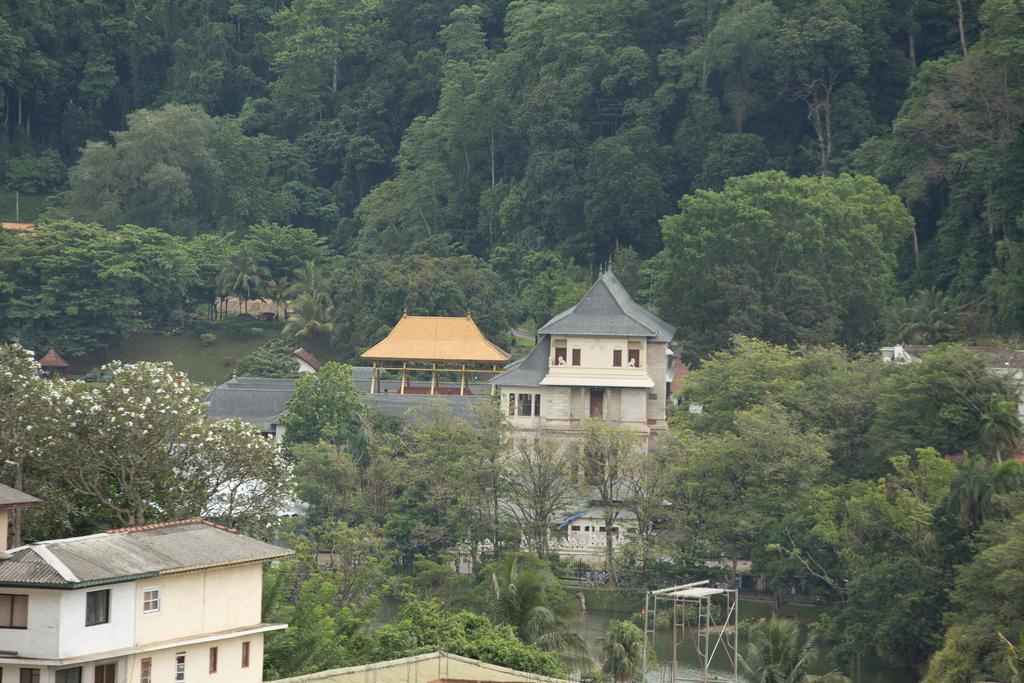 Amanda Hills Kandy